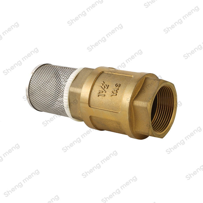 SMC010 brass check valve with filter brass stem