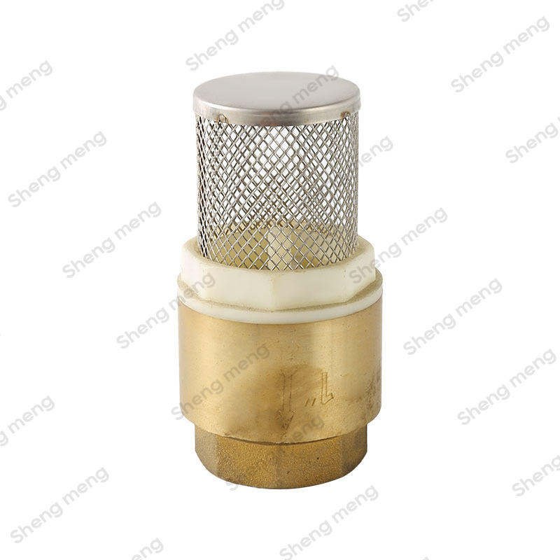 SMC004P plastic piston SS filter Brass foot valve