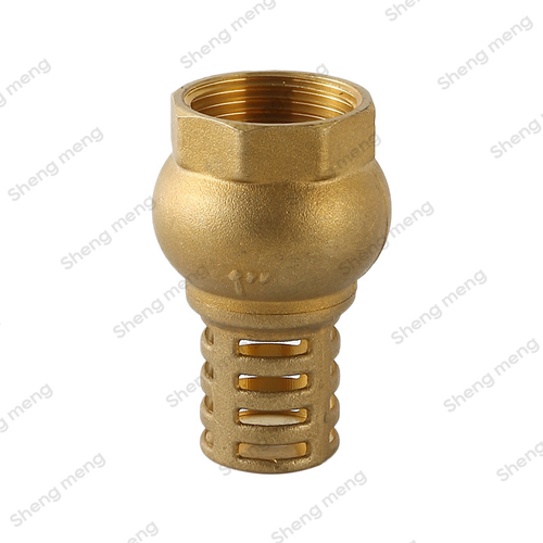 SMC005 double guide with strainer tuber discbrass foot valve