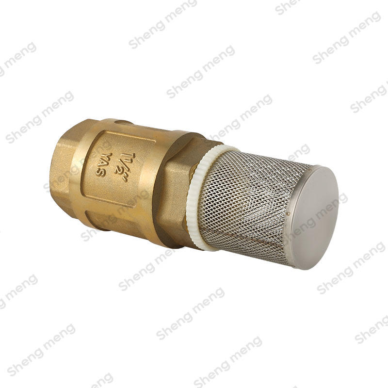 SMC010 brass check valve with filter brass stem