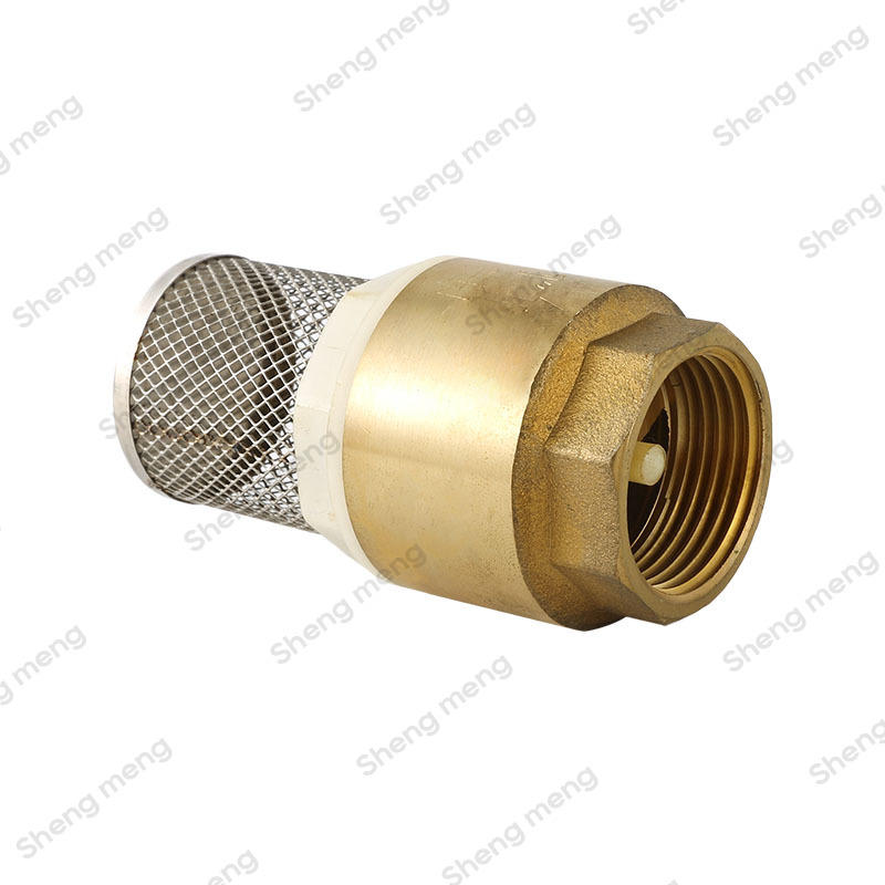 SMC004B  brass piston SS filter Brass foot valve